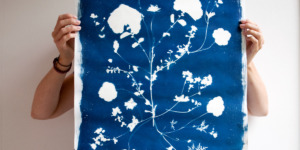 cyanotype