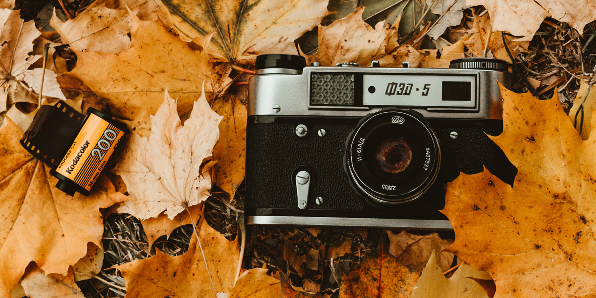 Why do we take so many photos (and how can you organize them)?