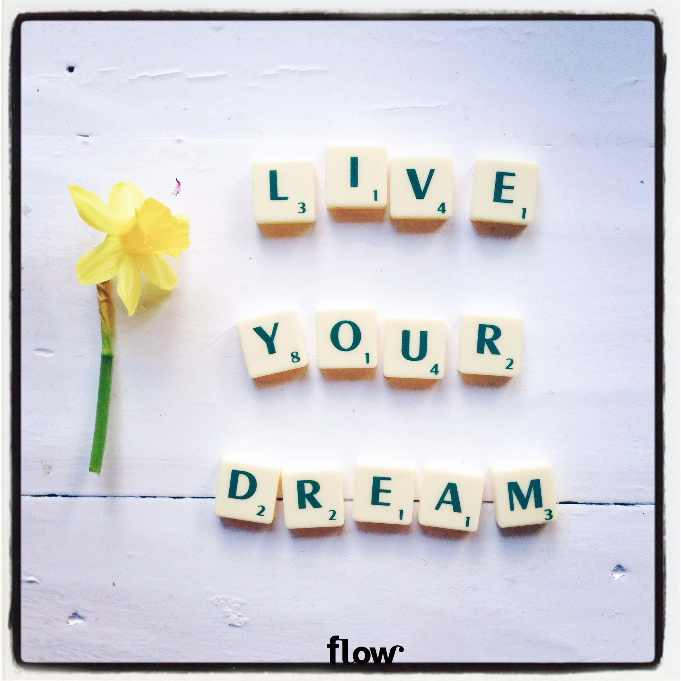 Quote Live Your Dream