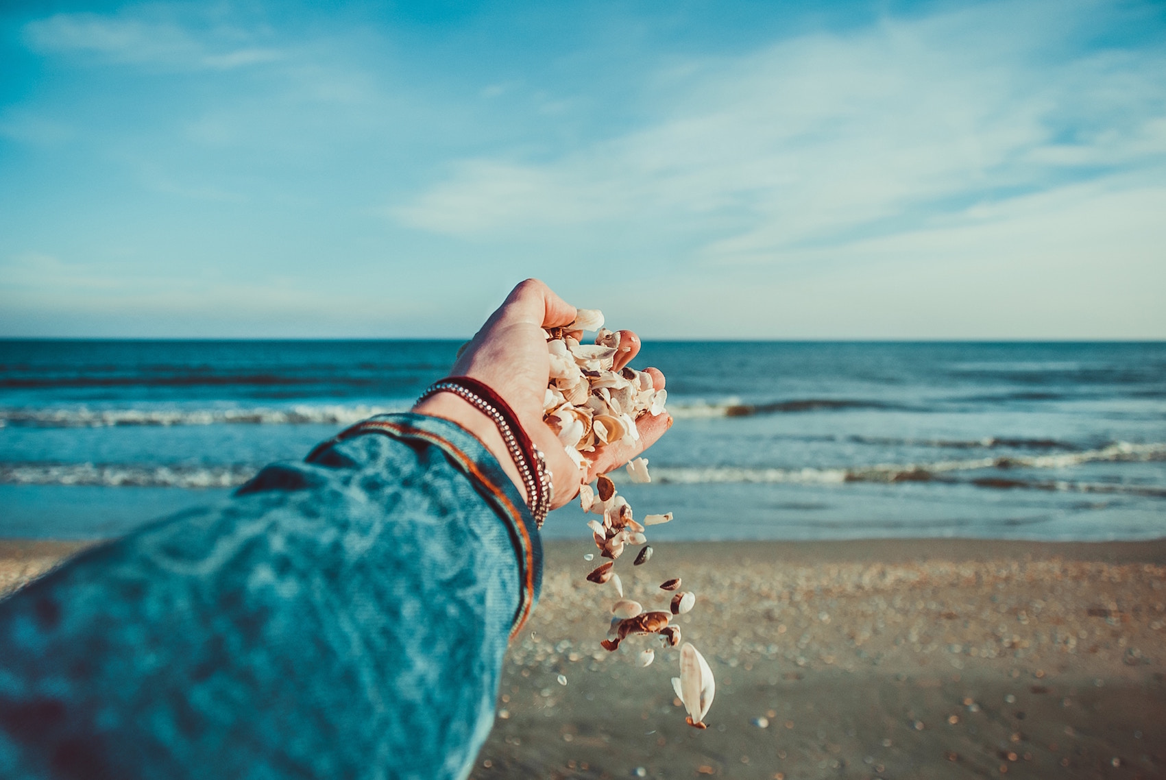 sea shells